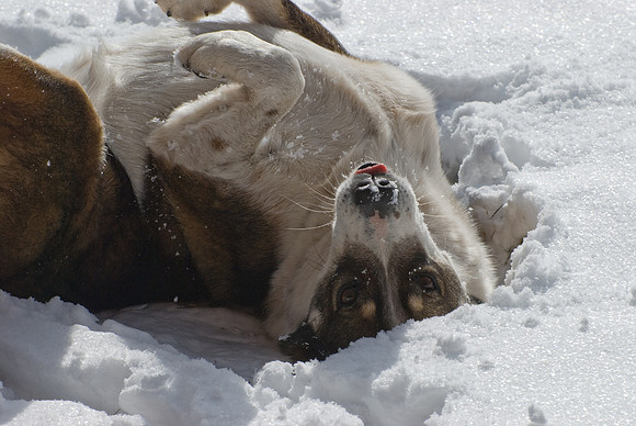 cooling off after a long watch