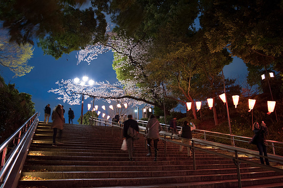 Climb to Ueno Park