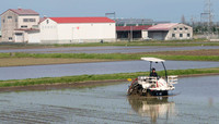 Rice farming as we get to Nagoya