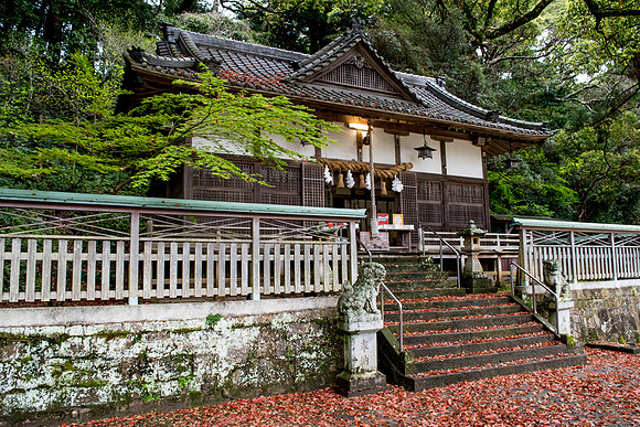Temple in the forest near beach