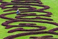 Taipei Garden