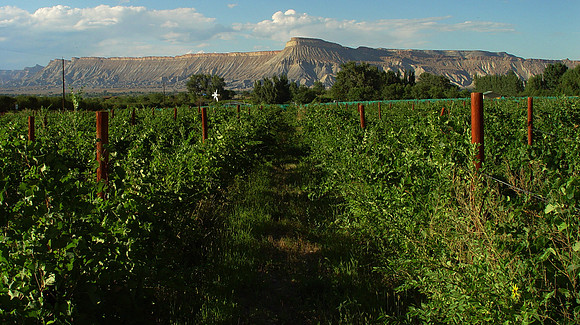 Grand Valley