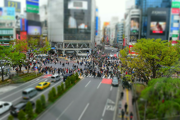 Shibuya Crossing