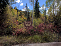 Fall Color 2017
