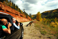 Fall 2012