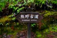Hongu