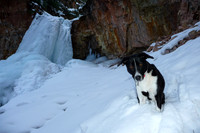 What a rocking dog - no sweater needed :)