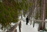 Stairs along the trail in Oulanka