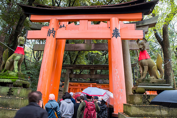 Fushimi Inari Torii (Gates)