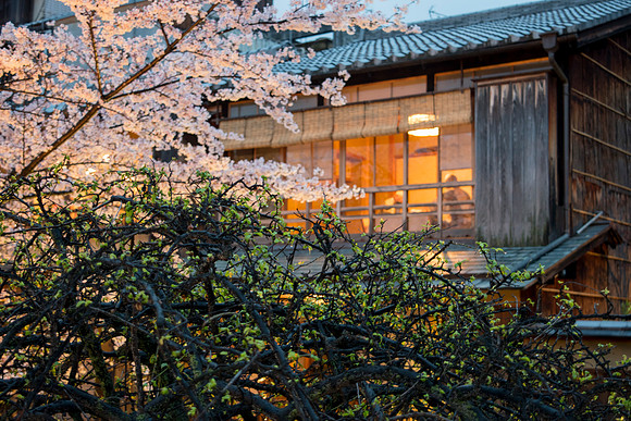 Shiragawa Area restaurant