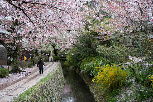Philosopher's Walk