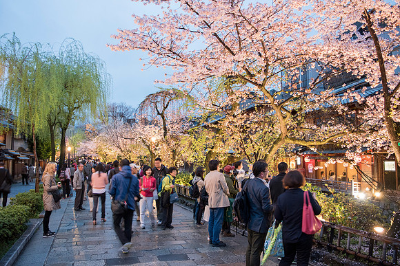 Gion Blossom walkway