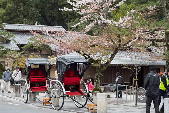 Arashiyama Rickshaws (West Kyoto)