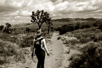 Joshua Tree NP