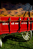 Whew - Budweiser!