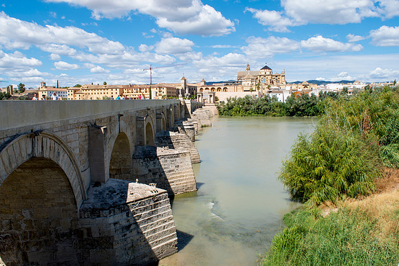 Roman Bridge with Great Mosque