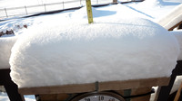 8 Inches of Snow