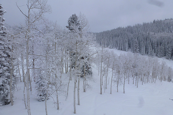 White Christmas - indeed