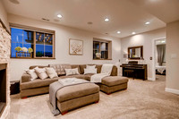 Lakewood Basement