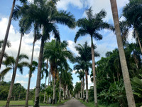 Villavicencio