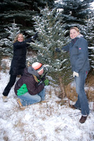 Christmas tree awaits!