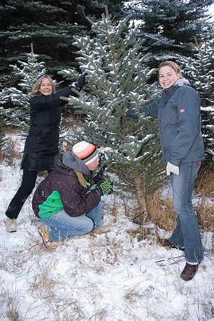 Christmas tree awaits!