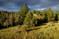 Westcliffe