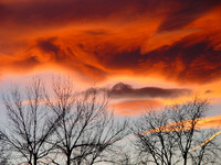 Denver