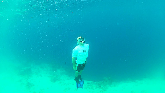 Skin dive action