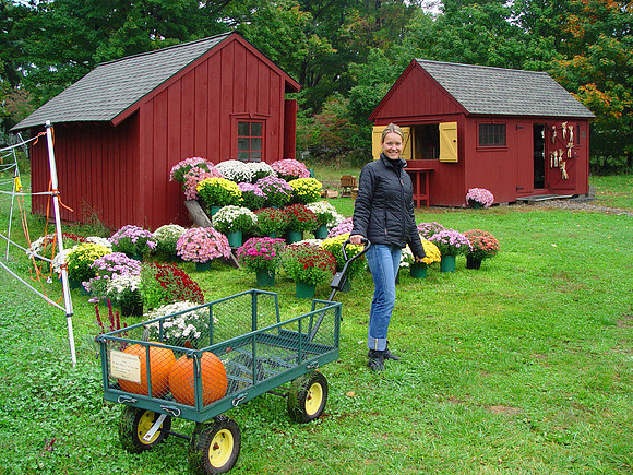 Pumpkin farm in Connecticut