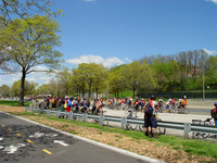 View along Brooklyn promenade