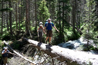 Crossing the stream while loaded full