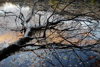 TeaTown Reservoir - Truck reflection