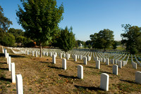 Peaceful Beauty of Arlington Natl Cemetary