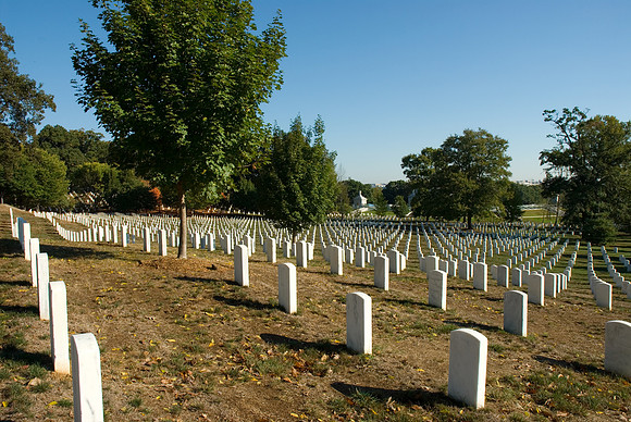 Peaceful Beauty of Arlington Natl Cemetary