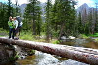 Another stream