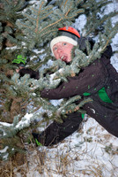 Andrew ready to cut the tree