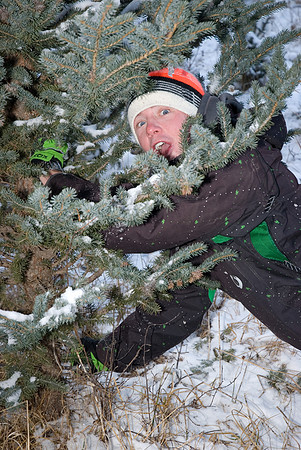 Andrew ready to cut the tree